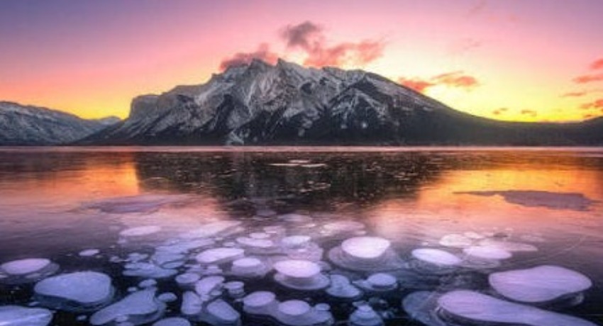 创意投稿箱 - 禁漫天堂官网发布 - 优质创意内容招募与激励专区